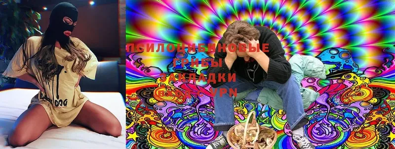 Псилоцибиновые грибы Magic Shrooms  Елабуга 